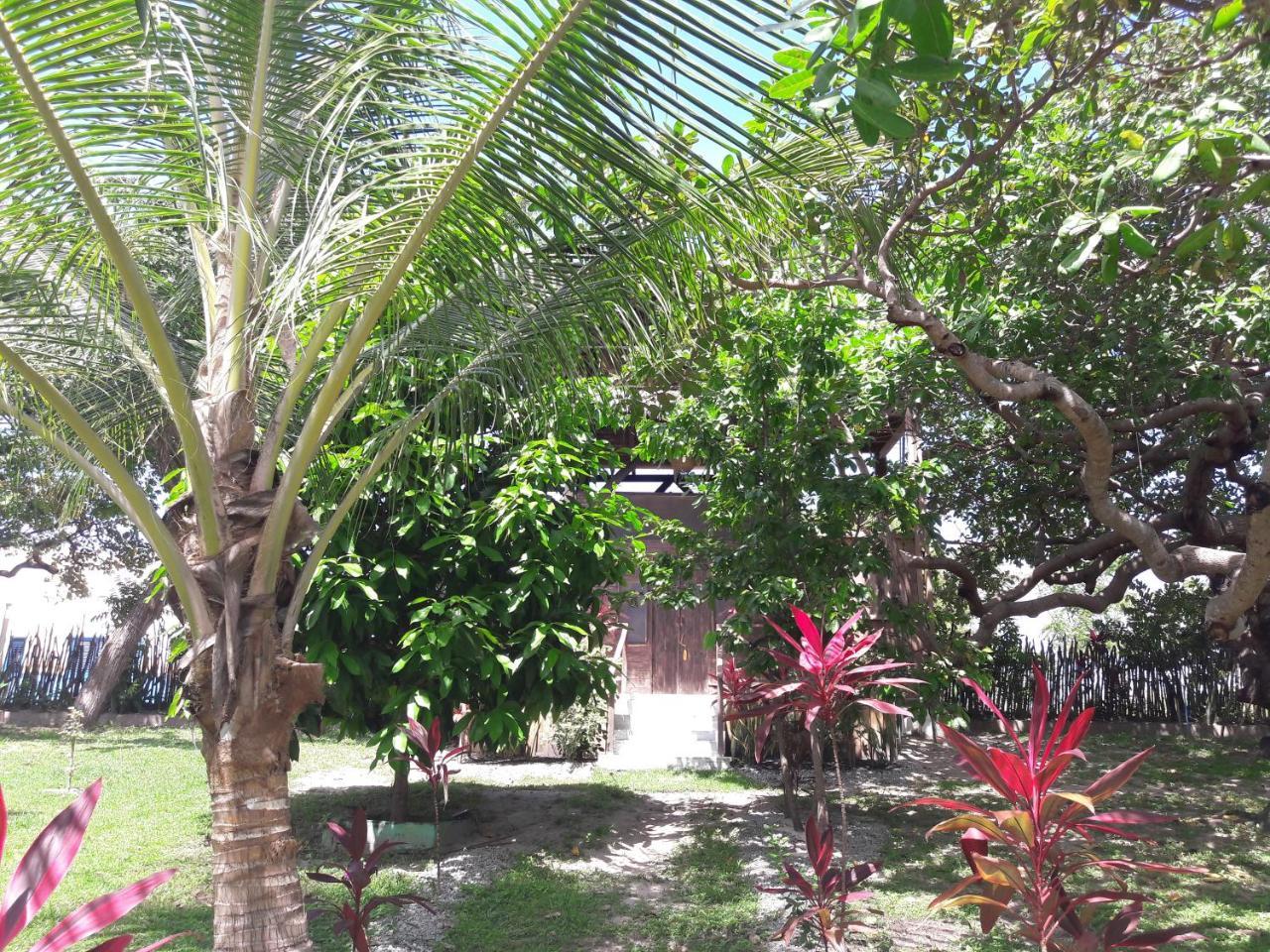 Ciamat Camp Hotel Santo Amaro do Maranhao Bagian luar foto